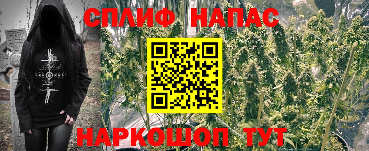 Конопля семена Белебей